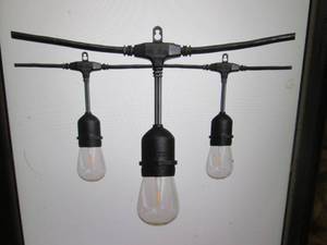lot 148 image: 24 ft 12-Light Filament LED String ...