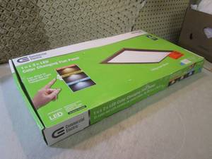 lot 255 image: 1 ft x 2 ft LED Color Changing Flat...