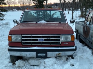 1989 Ford F.150