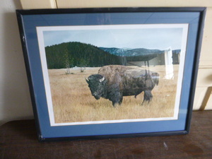 lot 43 image: Buffalo Print by Susan Southwick