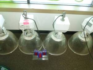 lot 80 image: Qty of 4 Day Brite HID Light Fixtures. 3 are 120 volt & 1 is 277 volt. As shown. SEE TERMS