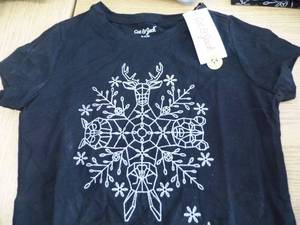 Lot of 19 Glitter T Shirts