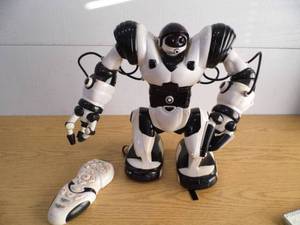 Robot wRemote