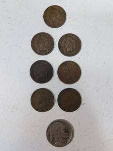 lot 9 image: 7 Indian Head Pennies and 1 Buffalo Nickel all circulated