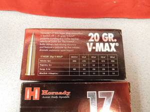 lot 10 image: Hornady 17 WSM