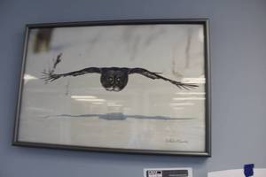 lot 134 image: Owl by Bill Morichel Signed Framed Wall Art