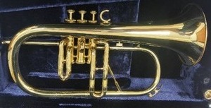 lot 284 image: Flugel Horn - Flugelhorn  like New in Black Hard Case. Loc music