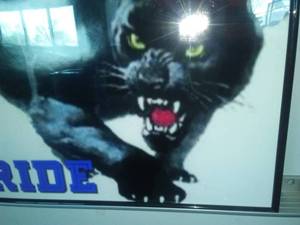 lot 103 image: Panther Pride Picture