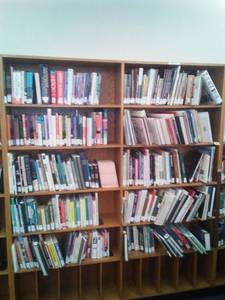 lot 603 image: 10 Shelves of Library Books  BOOKS  ONLY  (KID-EWE) And more  See Pics, Loc Rm 111 Lbry