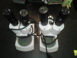 lot 648 image: Microscope W10X (2) tested. Sci Rm 99