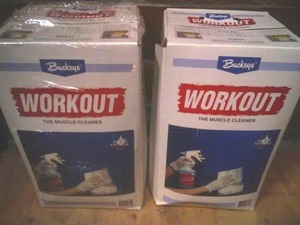 lot 234 image: NEW  2 Buckeye Workout Cleaner -5 gallon boxes.