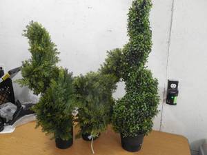 lot 64 image: (3) SHRUBS