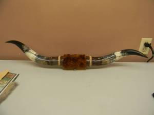 lot 26 image: VINTAGE MOUNTED STEER HORNS - LONGHORN BULL COW - APPROX 30 - NICE - SEE PICTURES