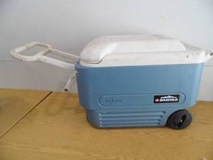 lot 47 image: Igloo Cooler