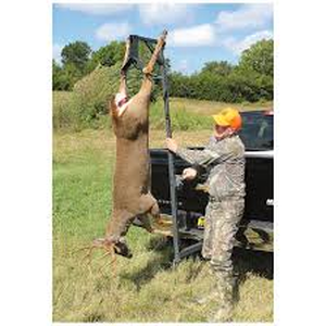 Sportsmans 231