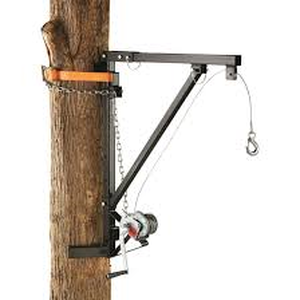 Sportsmans 231