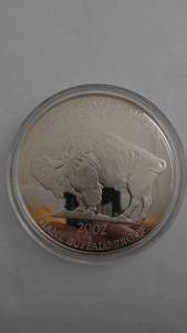 lot 36 image: 2002 Giant Buffalo Proof .999 1 ounce