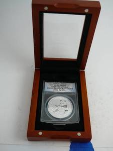 lot 39 image: 2017 China Panda .999 silver First Day of issue