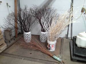 lot 128 image: Willow Branch Potted Dcor