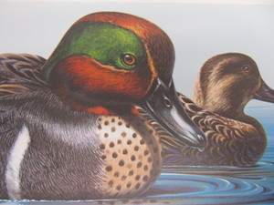 lot 84 image: Signed & Numbered KEN MICHAELSEN Green-Winged Teal WITH STAMP 60677000