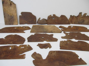 lot 205 image: Lot of Genuine Sliced Live-Edge Burl Wood Slabs