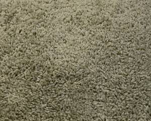 Plush Carpet 9 x 12