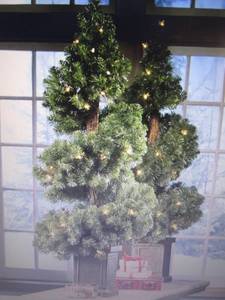 Set of 2 Potted Lit Spiral Trees op...