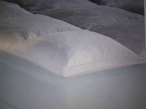 Sleep Connection� Soft Featherbed ...