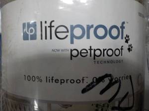 lot 56 image: 8 ft x 10 ft Lifeproof Pet Proof Sp...