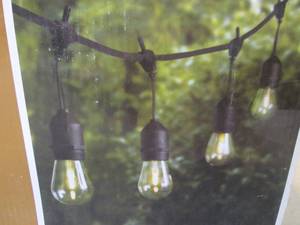 lot 40 image: 24 ft 12-Light Filament LED String ...