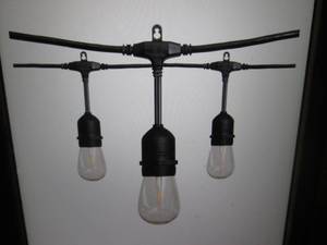 lot 51 image: 24 ft 12-Light Filament LED String ...