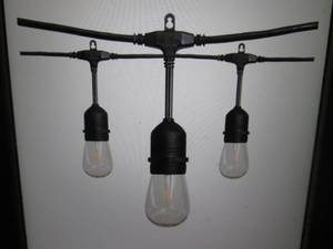 lot 53 image: 24 ft 12-Light Filament LED String ...