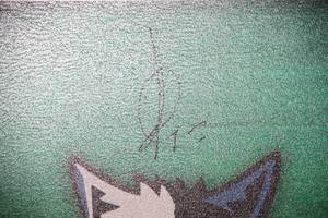 Minnesota Timberwolves Framed Wood Art Print Auto