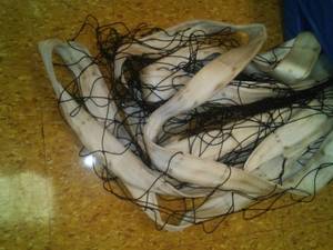 lot 1445 image: Volleyball Net and Pads.