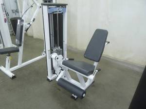 Paramont Leg Extension