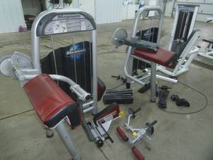 Magnum Bicep Machine