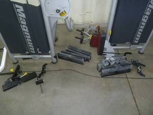 Magnum Triceps Machine
