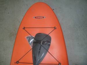 Viper Surf Board