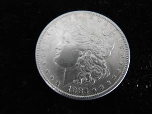 Morgan Dollar 1885