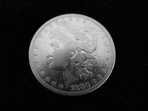Morgan Dollar 1880