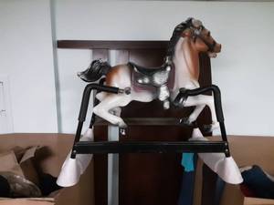 Spring Horse