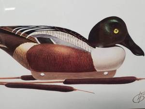 Duck Decoy Picture