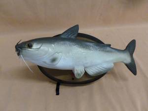 lot 126 image: Animated Catfish