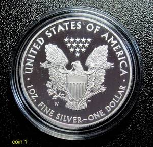 2008-W Proof American Silver Eagle