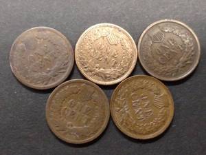 (5) Indian Head Cents...