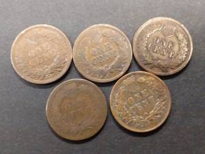 (5) Indian Head Cents...