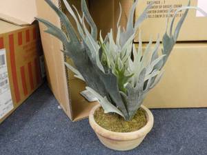 lot 145 image: lot of 3 Threshold artificial cactu...