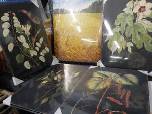 lot 147 image: 4 House in the Country Canvas print...