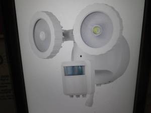 lot 44 image: 180-Degree White Solar Powered Moti...
