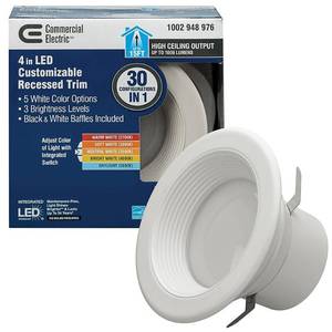 2 CE 4 in. Selectable Integrated LE...